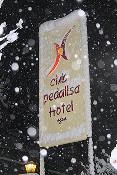 Pedalisa Otel Ava